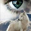 2thewolfpack